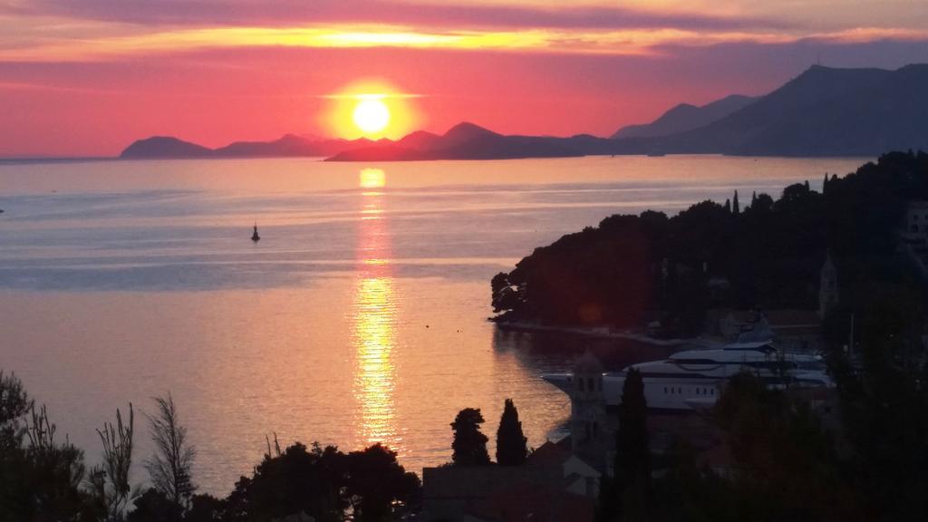 Apartments Red Coral Cavtat Dış mekan fotoğraf